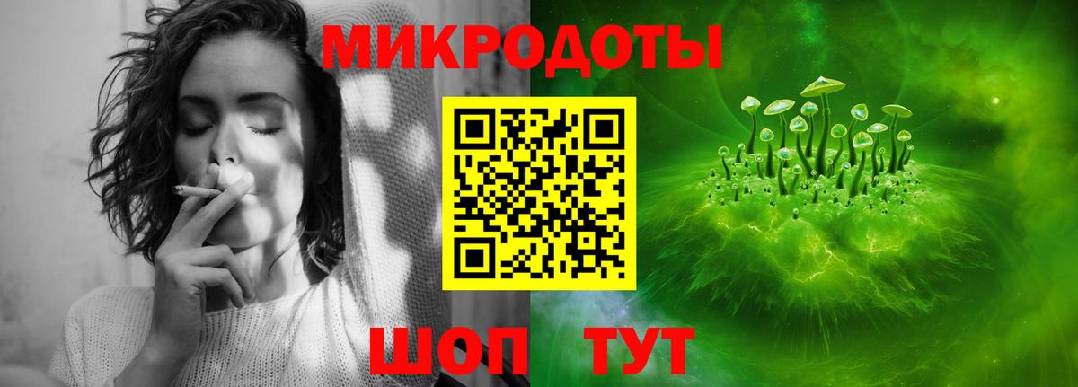 Галлюциногенные грибы Psilocybe Рыбинск